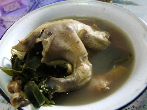 Food Plants In Hmong Cuisine In Northern Thailand Ethnobotany Of